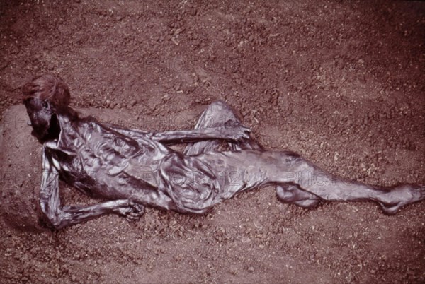 L'homme de Moesgaard, 2000 ans, retrouvé intact dans les marais
