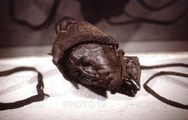 The Tollund Man, 2000 years old, discovered in 1950, in a peat bog