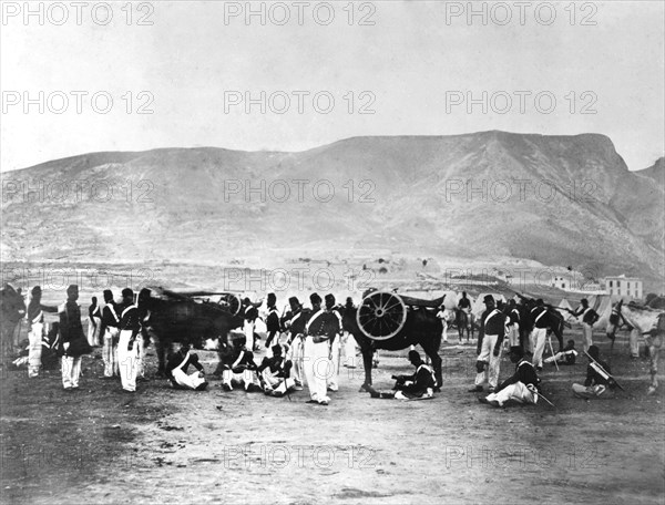 Artillerie de montagne dans la région d'Oran