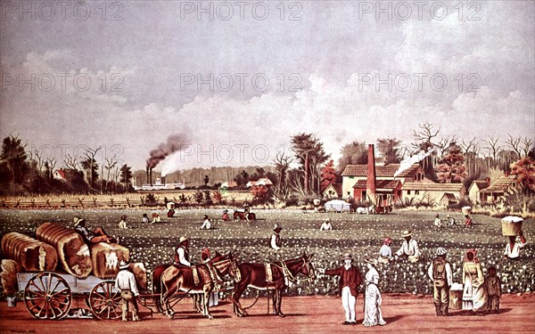 Lithograph by Currier and Ives. A cotton plantation along the Mississippi river