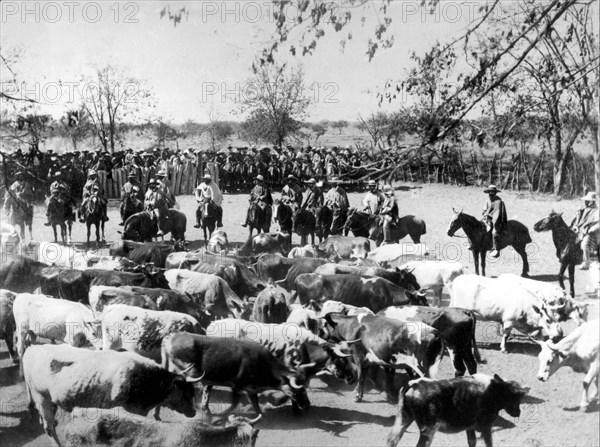 Paysans prêts à un rodéo (correr la vaca)