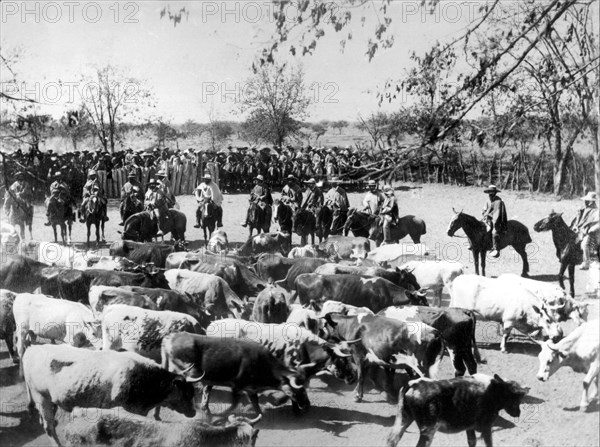 Farmers ready for rodeo (correr la vaca)