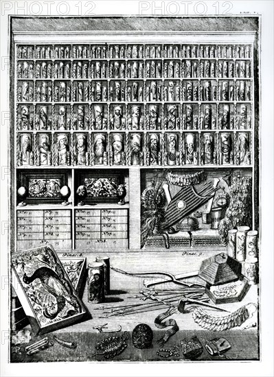 Cabinet of curiosities