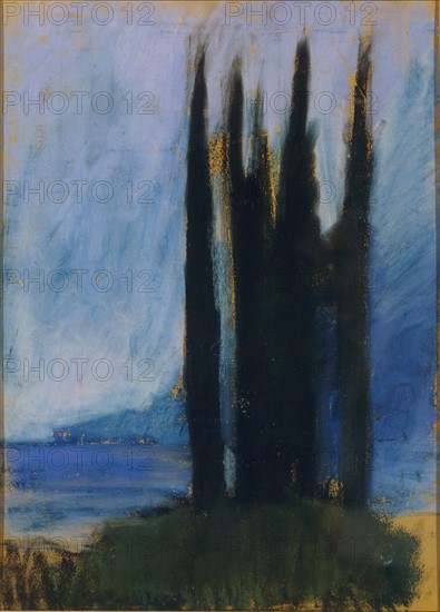 Ury, Cypress trees