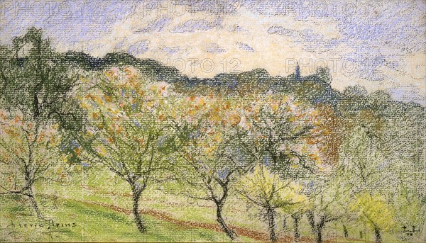 Prins, Apple trees in bloom