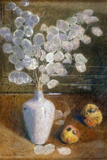 Prins, Still-life with lunaria
