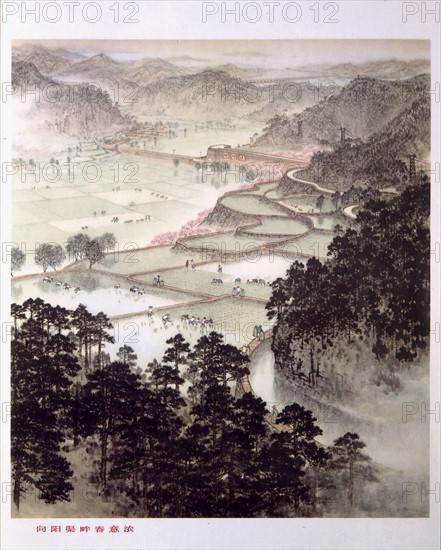 Rice fields by the Yang-Tse- Kiang river