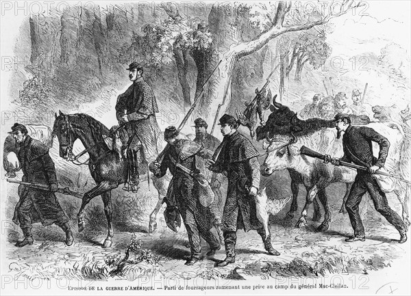 Guerre de Sécession : fourrageurs ramenant leur prise au camp