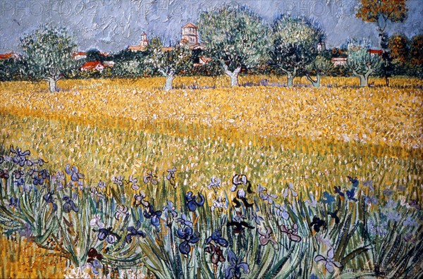 Van Gogh, Field with Irises near Arles