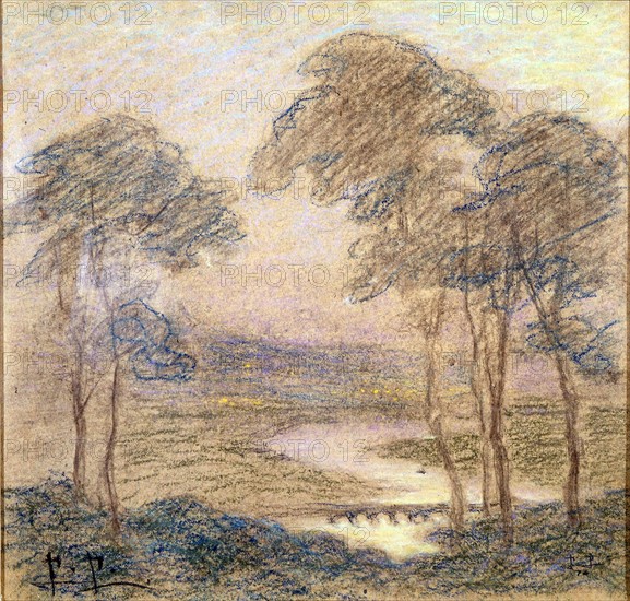 Prins, Large trees over a bridge in the countryside
