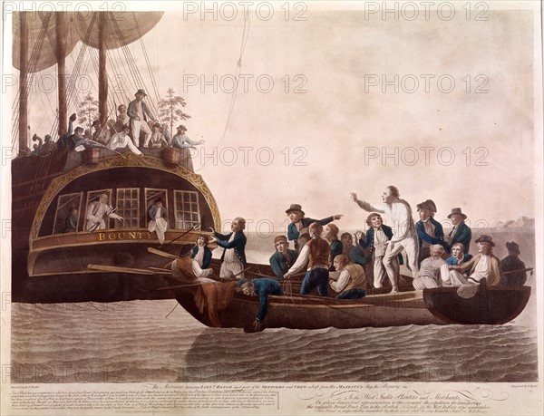 Dodd, Mutiny on the HMS Bounty