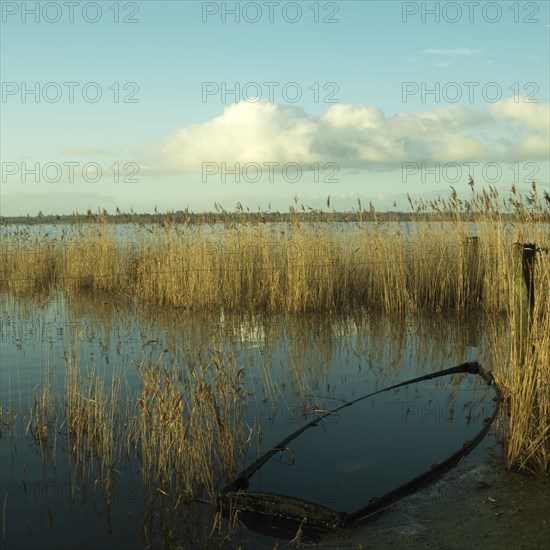 Barque coulee dans un marais