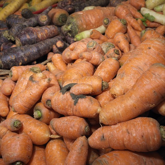 Carrots in a crate