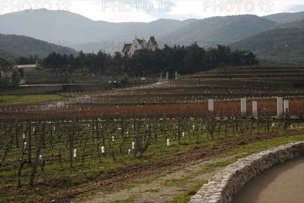 Chateau de Valmy et vignoble