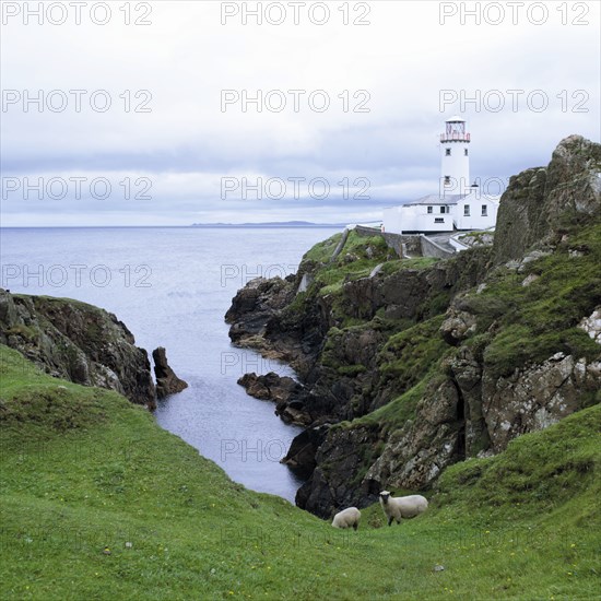 Phare de Fanad Head