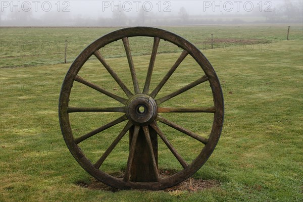 Wheel