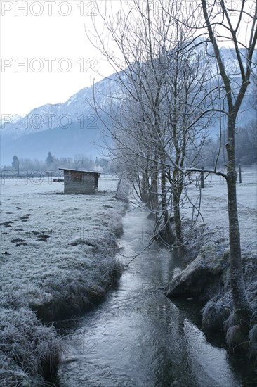 Stream in winter