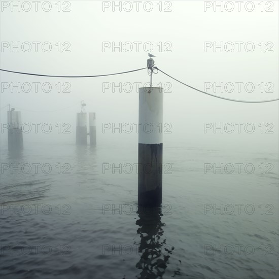 Brouillard sur la Seine