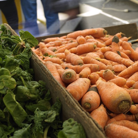 Carottes et epinards