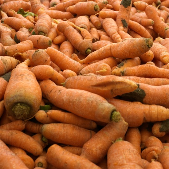 Carrots