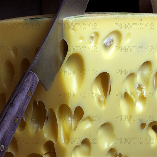 Emmental