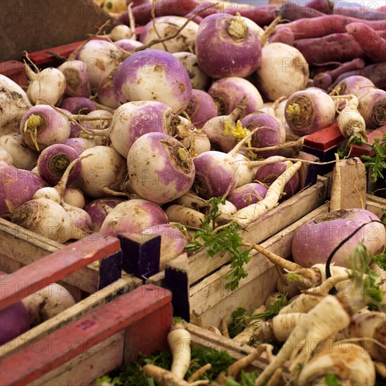 Turnips