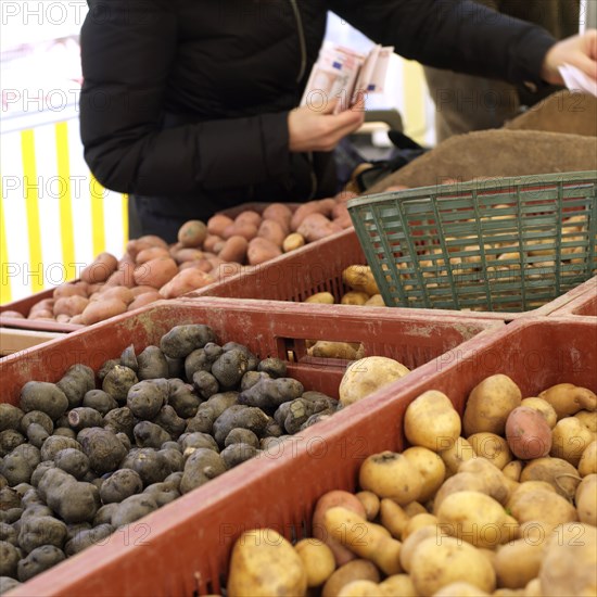 Pommes de terre