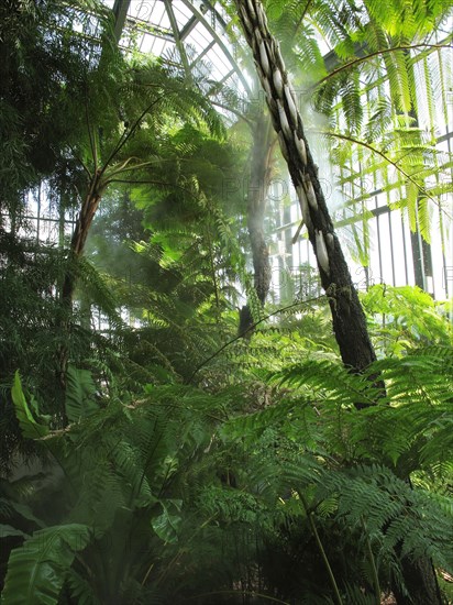 Serre du Jardin des Plantes