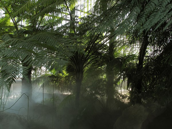 Greenhouse at the Jardin des Plantes