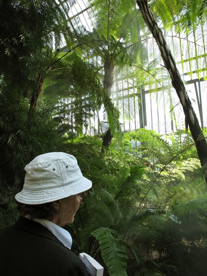 Greenhouse at the Jardin des Plantes