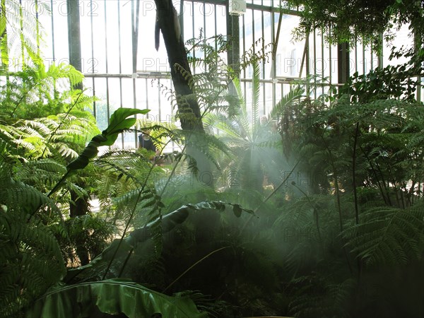 Serre du Jardin des Plantes