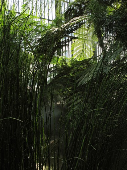 Greenhouse at the Jardin des Plantes