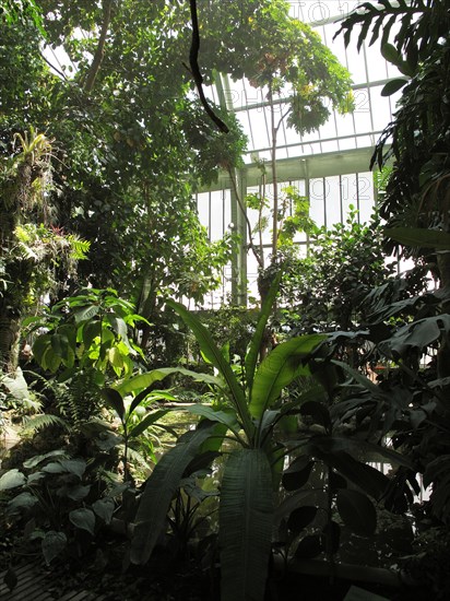 Greenhouse at the Jardin des Plantes