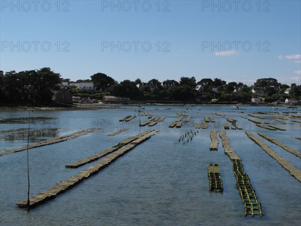 Parc a huitres dans la baie de Larmor Baden