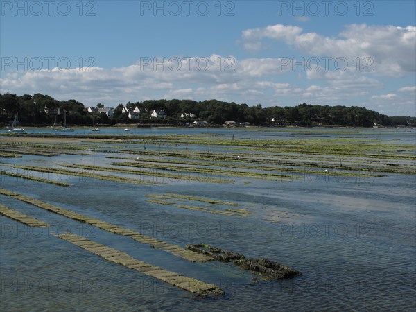 Parc a huitres dans la baie de Larmor Baden