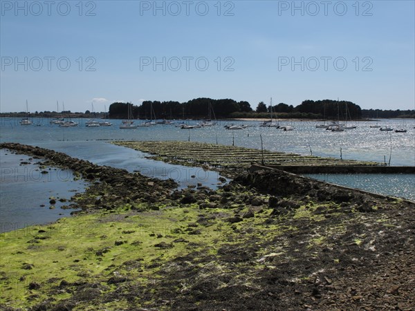 Parc a huitres dans la baie de Larmor Baden