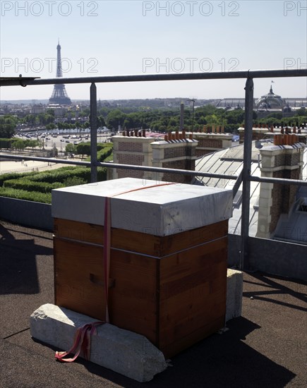 Beehive on the roof of Hotel Westin in Paris