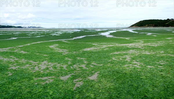 Plage de Saint-Michel-en-Grève en Bretagne