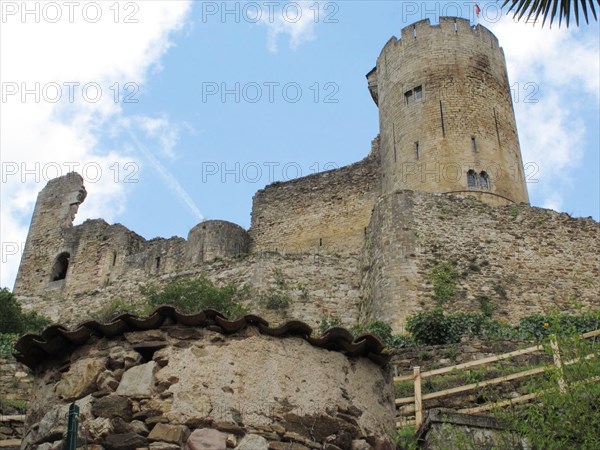 Castle de Najac