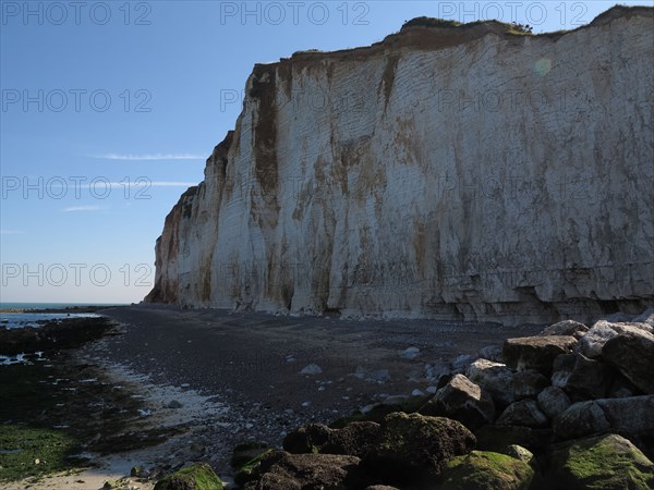 Falaise des Petites-Dalles