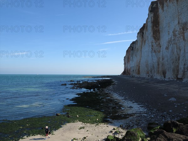 Falaise des Petites-Dalles