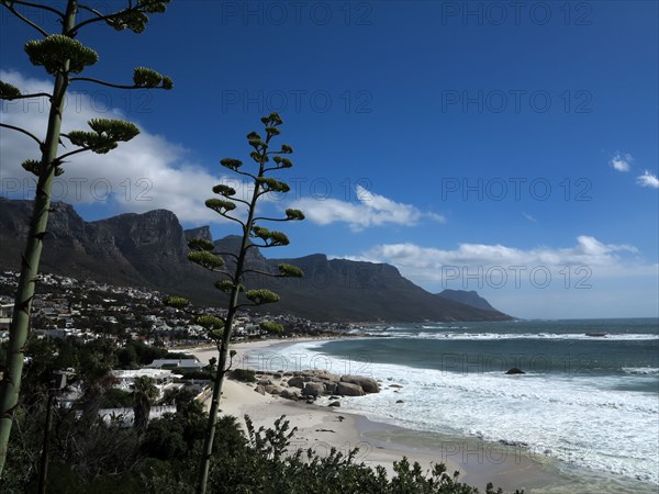 Le Cap, Camps Bay