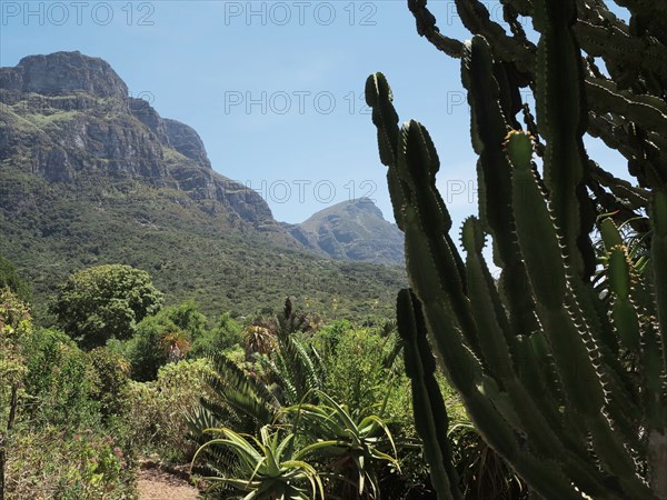 Capetown, Kirstenbosch National Botanical Garden