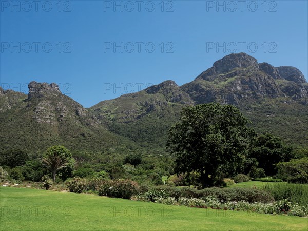 Le Cap, Jardin botanique national Kirstenbosch