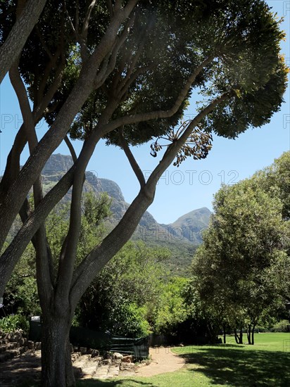 Capetown, Kirstenbosch National Botanical Garden