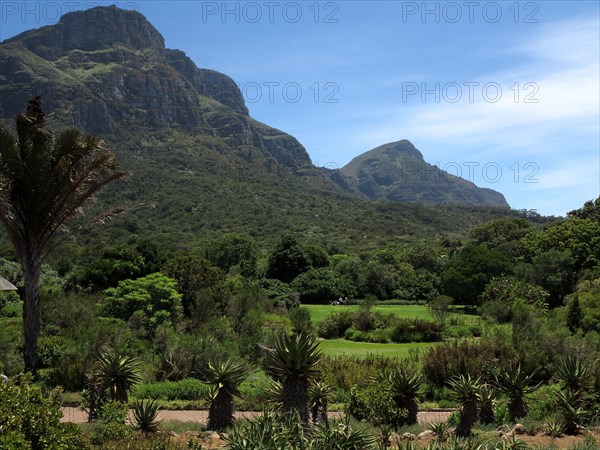 Le Cap, Jardin botanique national Kirstenbosch