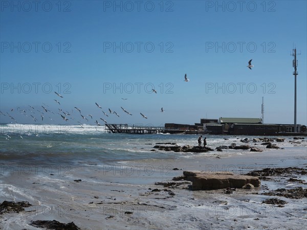 Kommetjie, village de la banlieue du Cap