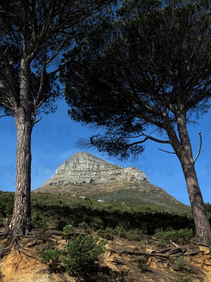 Le Cap, pic rocheux