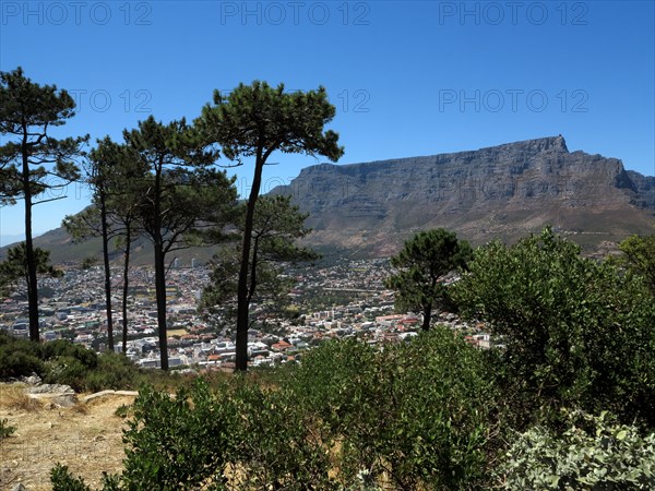 Le Cap, Table Mountain