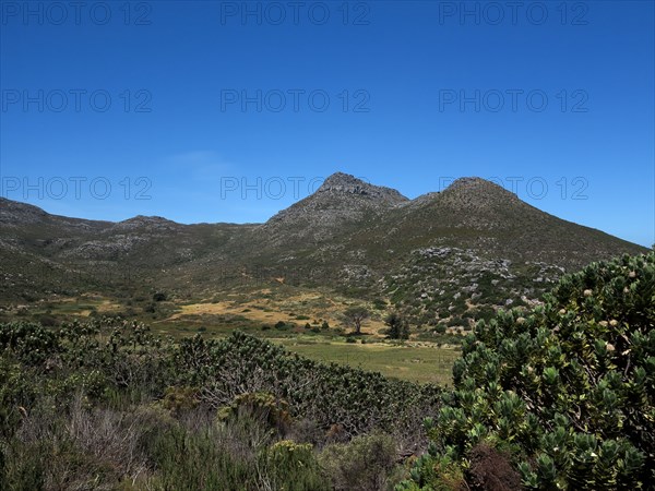 Le Cap, Kommetjie